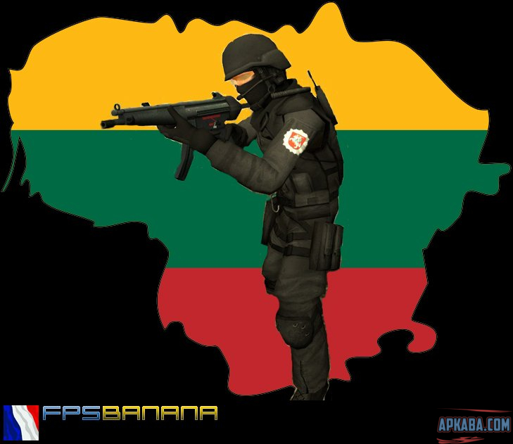 Counter-Strike-Lithuania.jpg